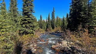 Evelyn Creek - Parc National de Jasper Canada 2023